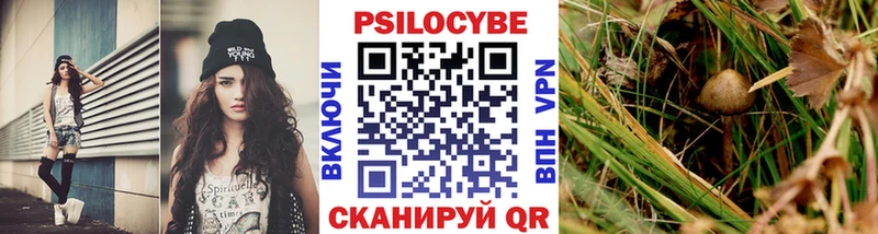 Псилоцибиновые грибы мицелий mega сайт Унеча